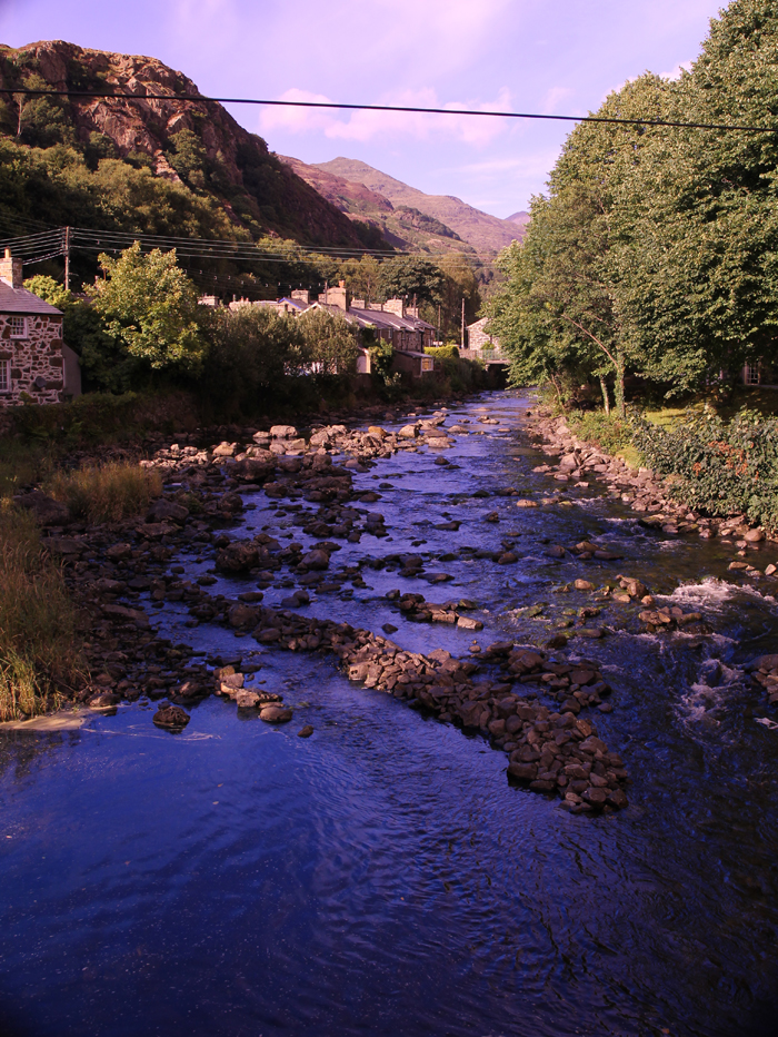 River Bank