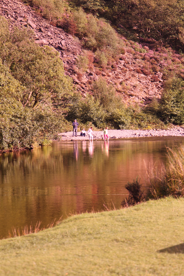 Swimming in the river