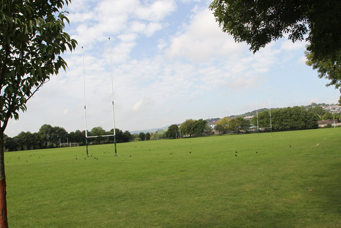 Rugby fields