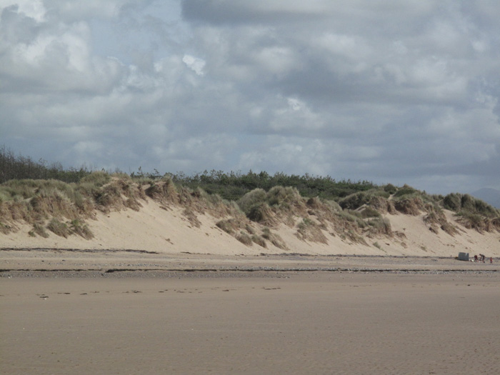 Beach / sand dunes